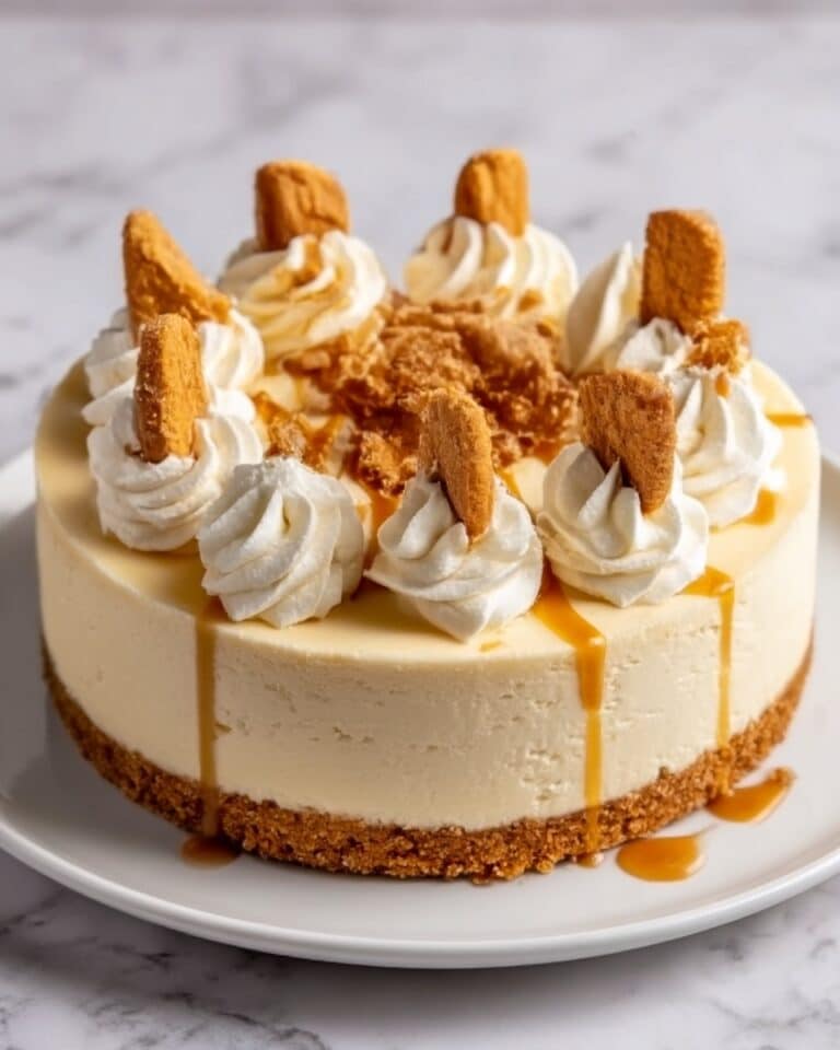 No-Bake Biscoff Cheesecake Recipe